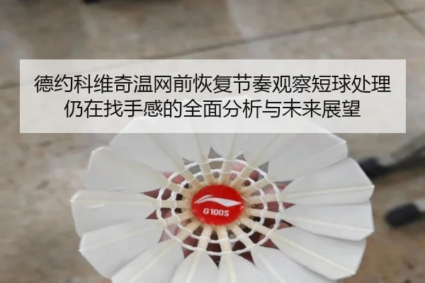 德约科维奇温网前恢复节奏观察短球处理仍在找手感的全面分析与未来展望